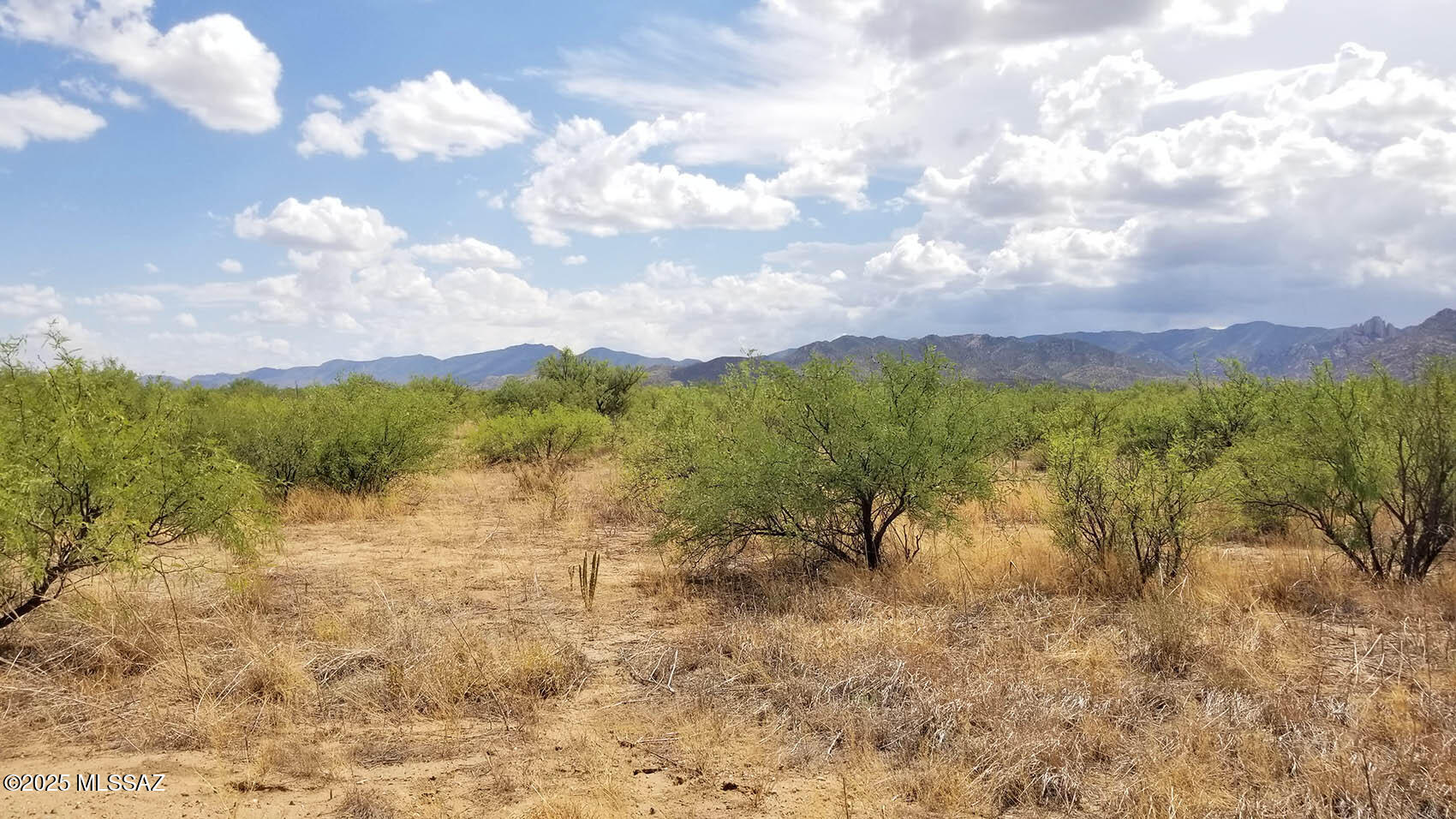 1-acre West Birch Road, Unit 3 Cochise, AZ 85606 - Photo 7 of 9