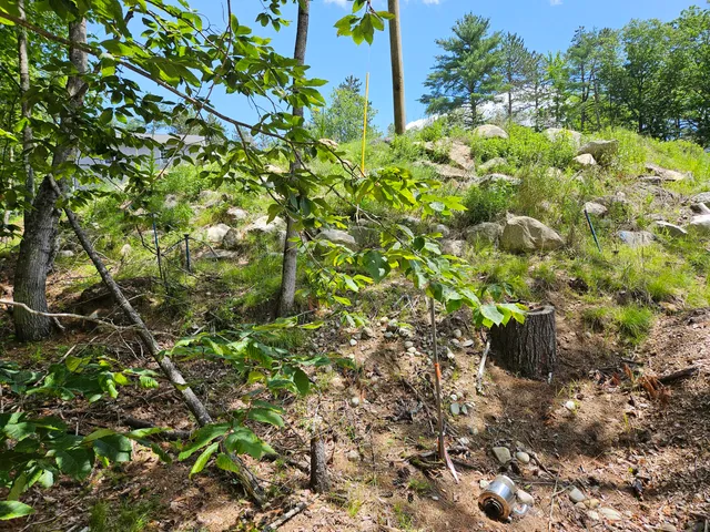 $50,000 | 386 Lenox Circle, North Waterboro, ME 04061