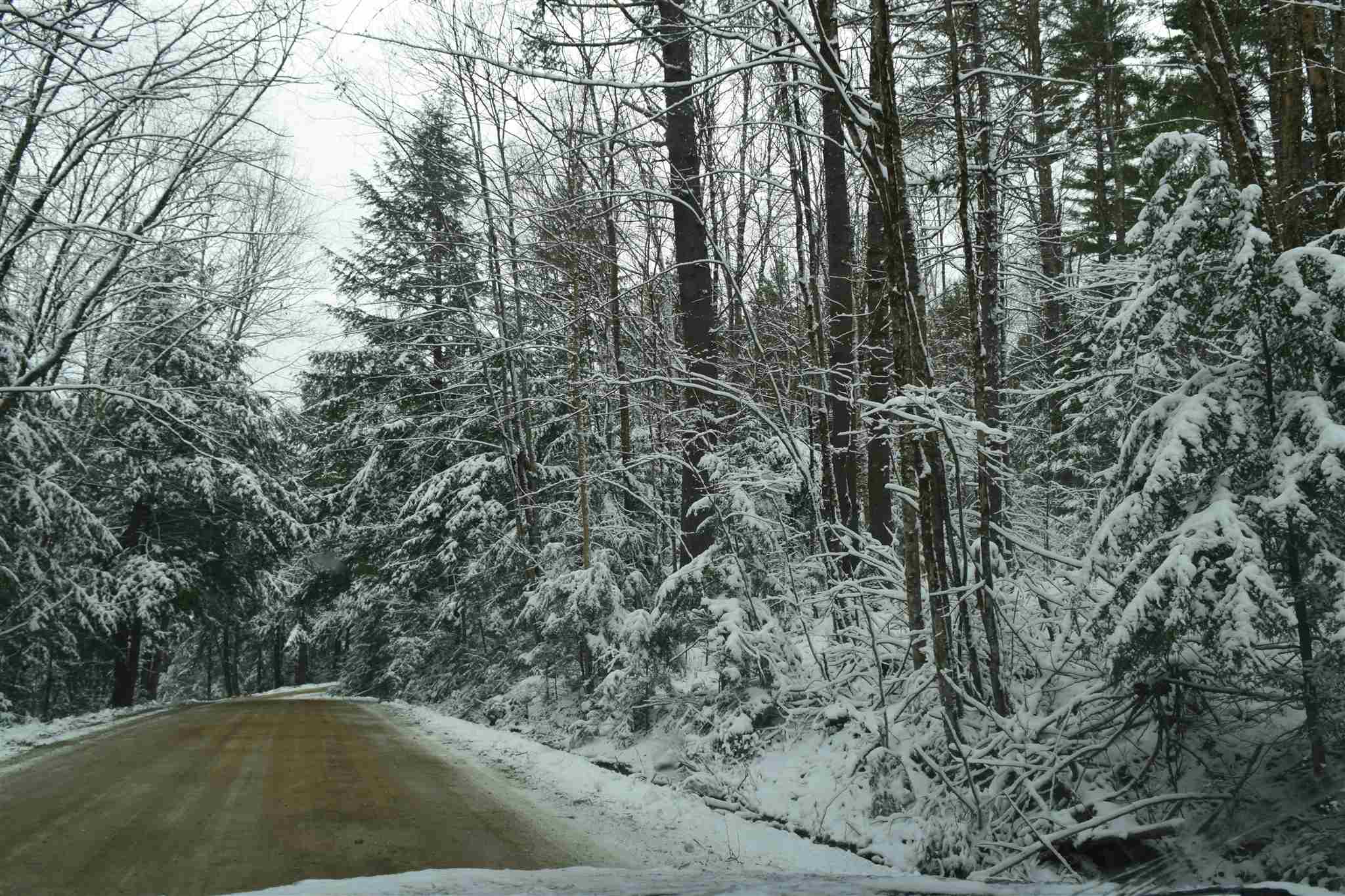 Lot 147 Carr Road, Unit 147 Woodsville, NH 03785 - Photo 2 of 10
