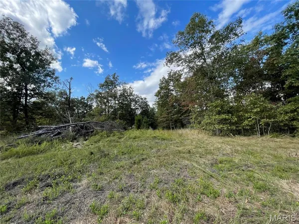 $29,900 | 14 Woodland Heights West, Poplar Bluff, MO 63901