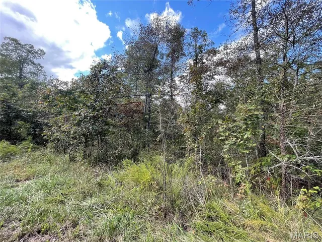 $29,900 | 14 Woodland Heights West, Poplar Bluff, MO 63901