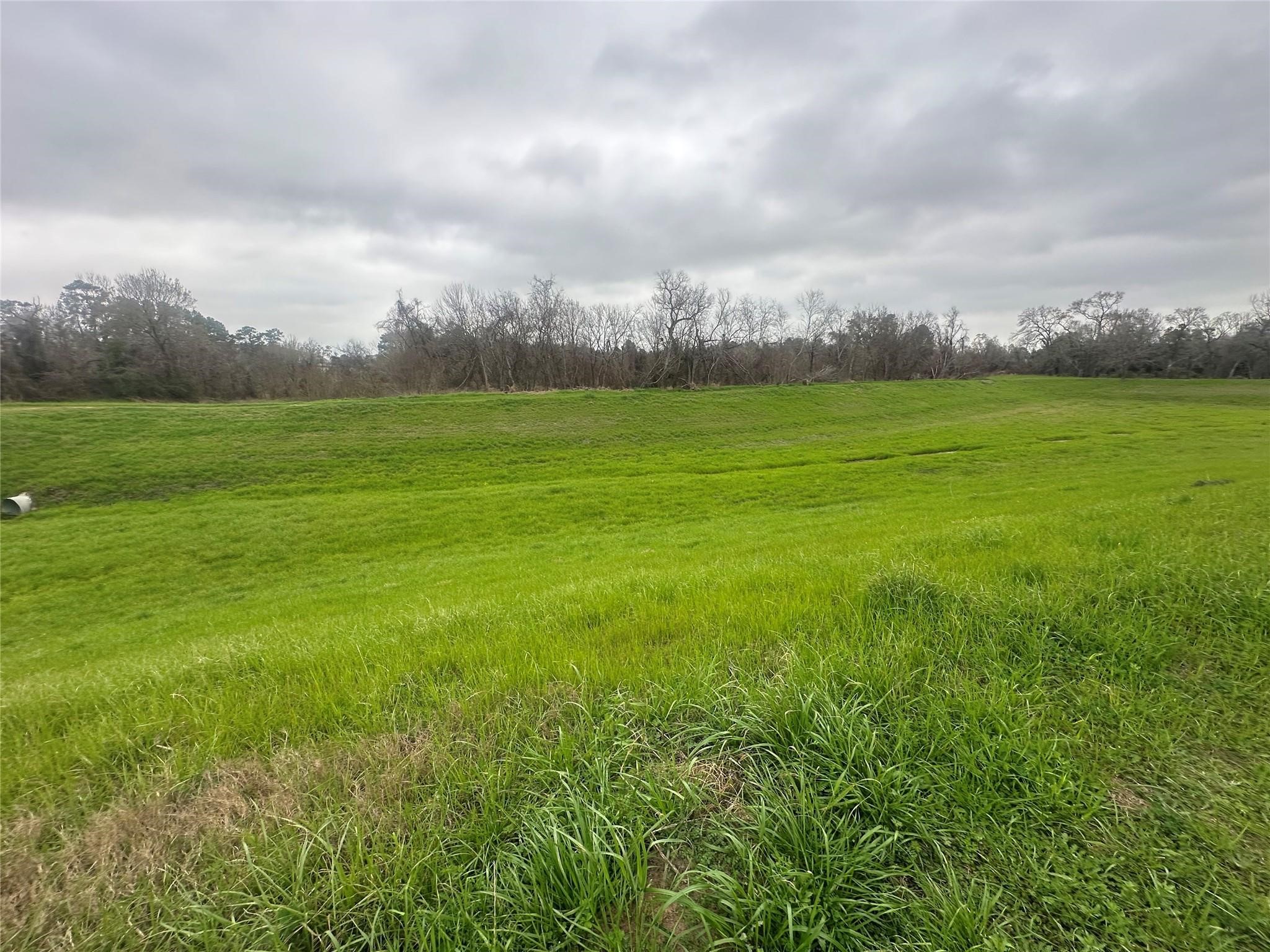 5322 Handbrook Drive Houston, TX 77069 - Photo 15 of 16