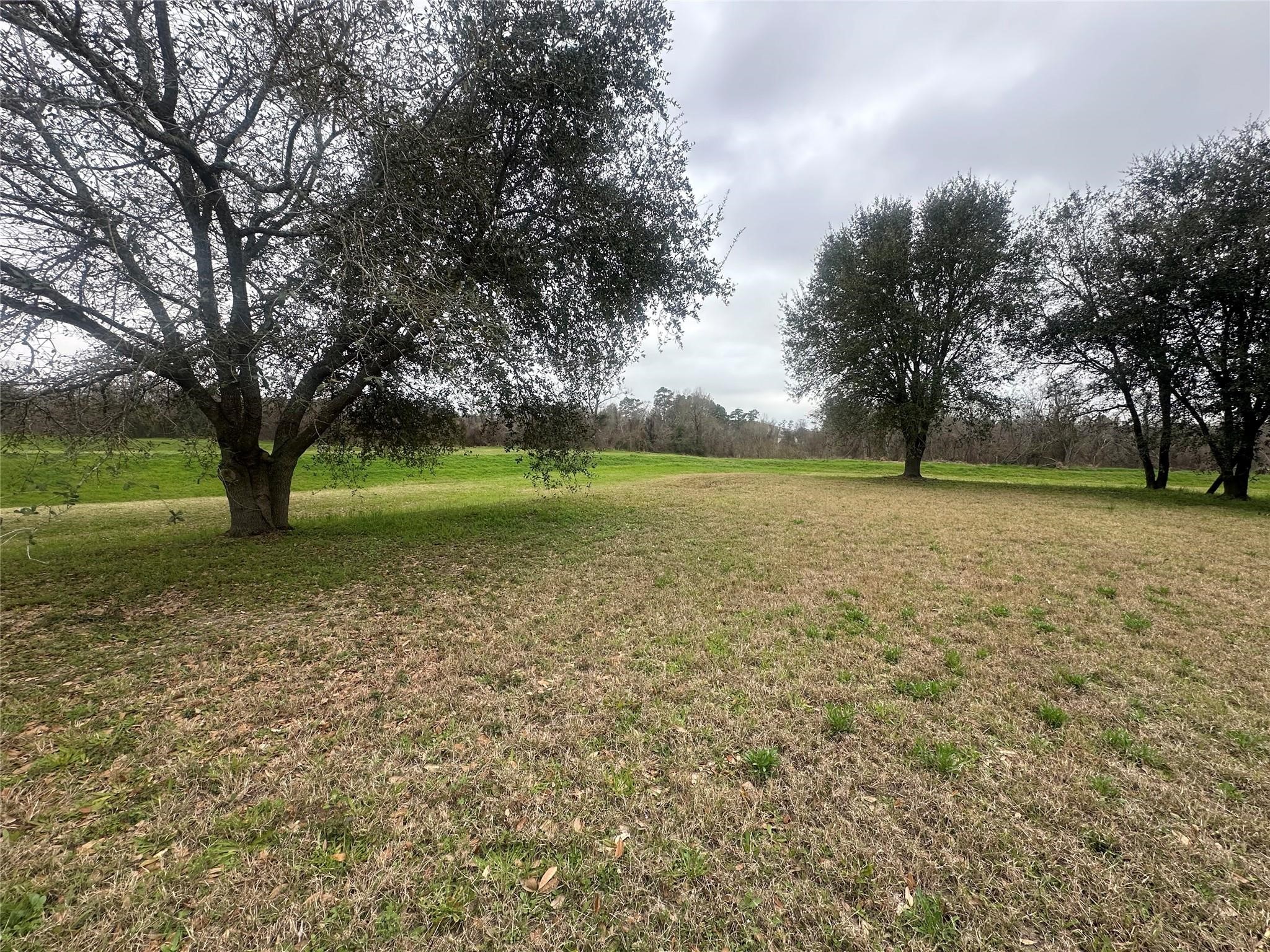 5322 Handbrook Drive Houston, TX 77069 - Photo 3 of 16 a view of outdoor space with trees all around