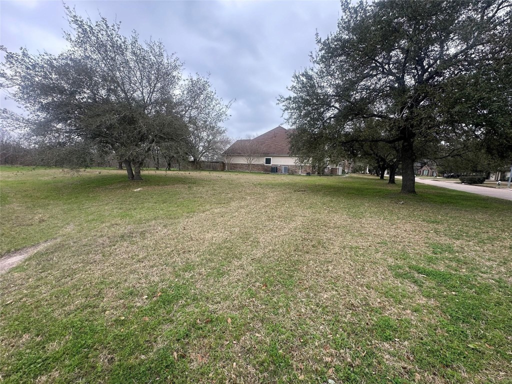 5322 Handbrook Drive Houston, TX 77069 - Photo 5 of 16 a view of a trees in a yard next to a building