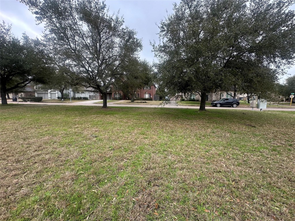 5322 Handbrook Drive Houston, TX 77069 - Photo 6 of 16 a view of a trees in front of a house