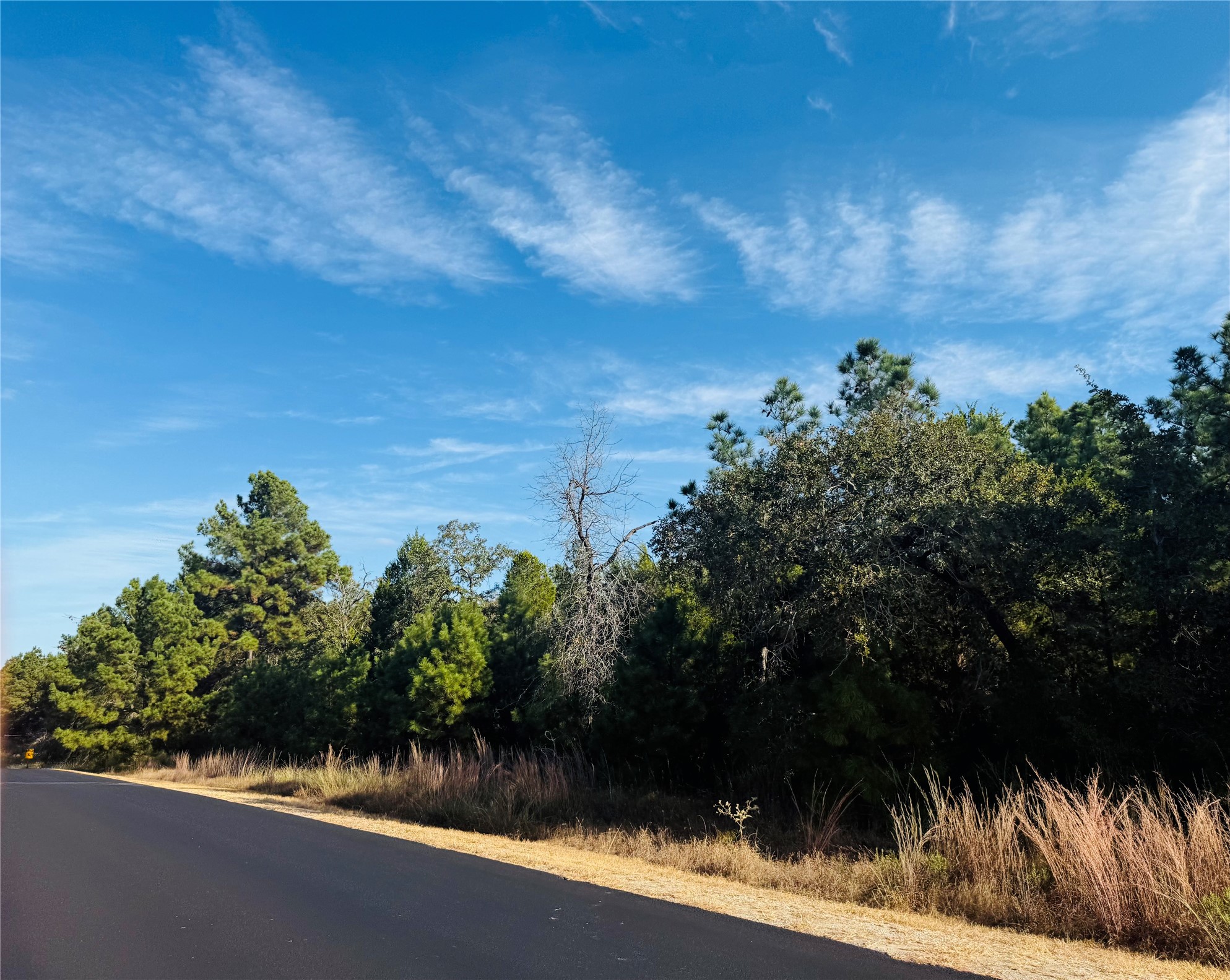 147 Arbors Circle Elgin, TX 78621 - Photo 1 of 5 a view of a yard