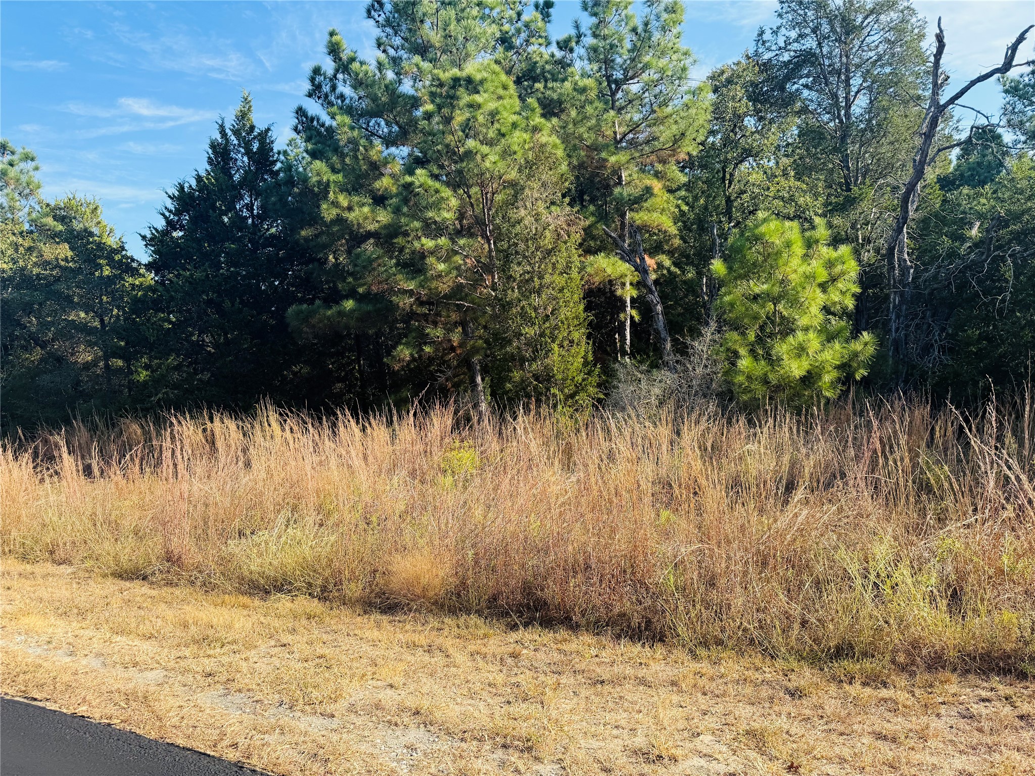 147 Arbors Circle Elgin, TX 78621 - Photo 4 of 5 a view of swimming pool of a yard