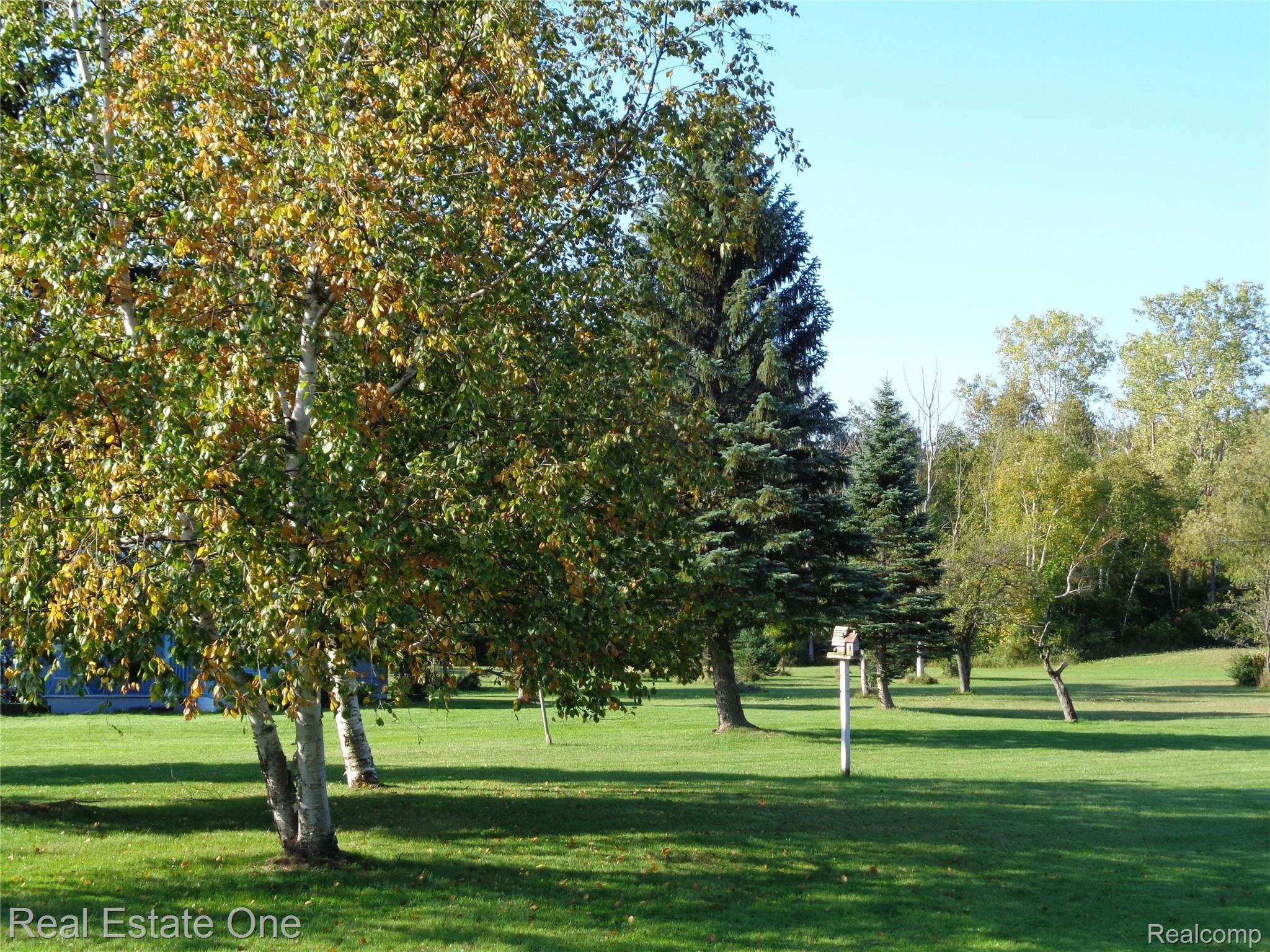 5960 Mills Road Deckerville, MI 48427 - Photo 10 of 79 Gorgeous wooded lot with several birdhouses to enjoy nature