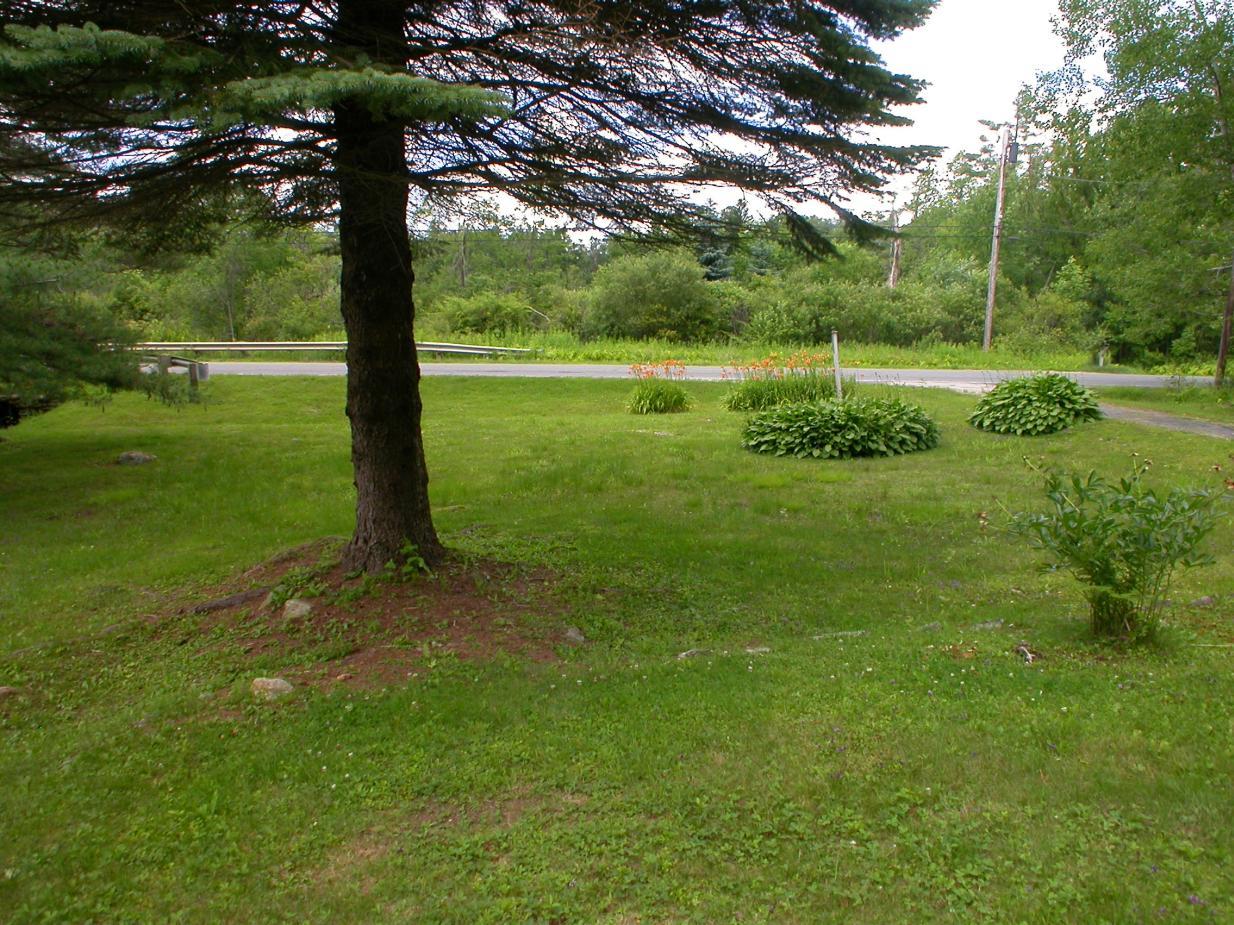 231 Sandisfield Road Sandisfield, MA 01255 - Photo 11 of 12 a view of a park