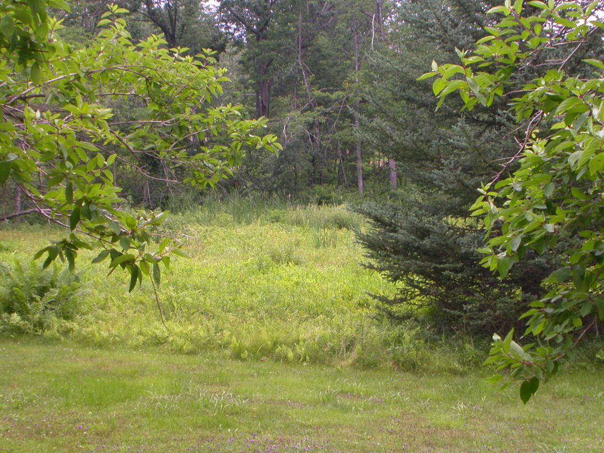 231 Sandisfield Road Sandisfield, MA 01255 - Photo 12 of 12 a view of a garden