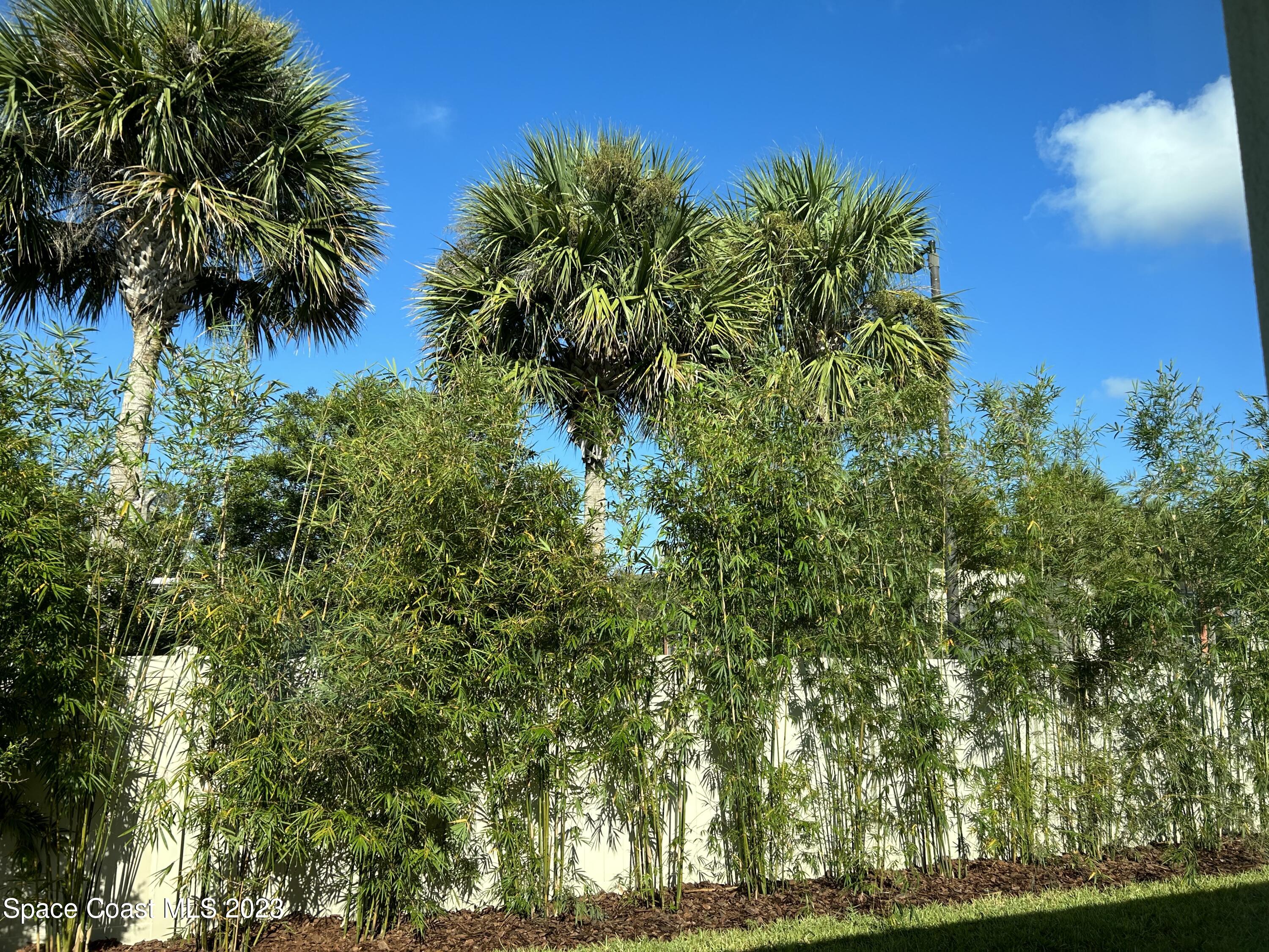 4095 Negal Circle Melbourne, FL 32901 - Photo 16 of 20 a view of a yard
