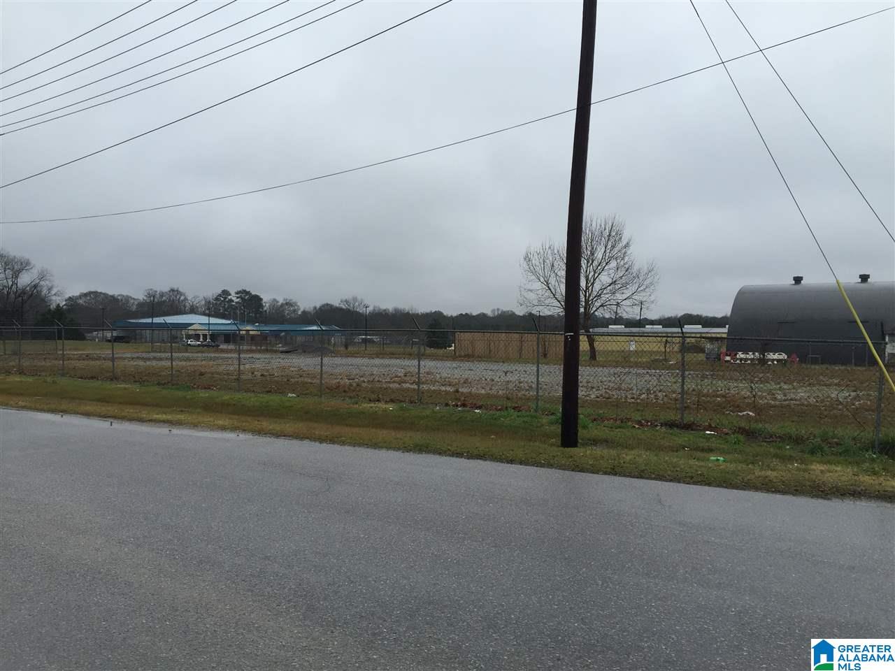 6th Street South Clanton, AL 35045 - Photo 2 of 4