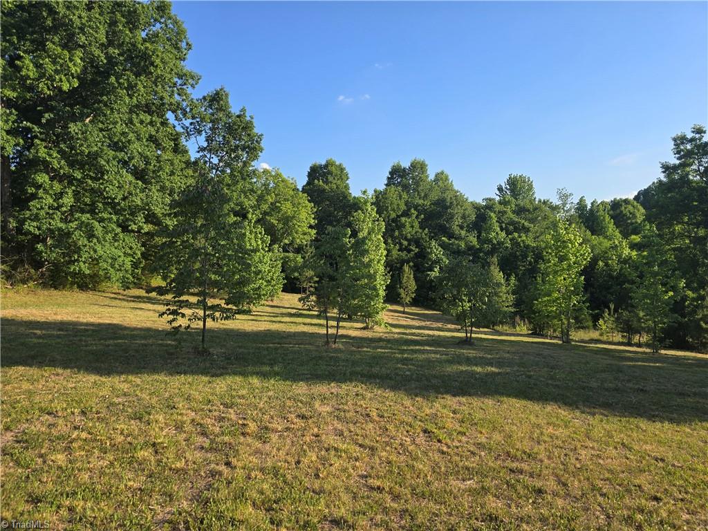 217 Cedar Ridge Road Randleman, NC 27317 - Photo 1 of 18 Welcome to 217 Cedar Ridge Rd - Randleman