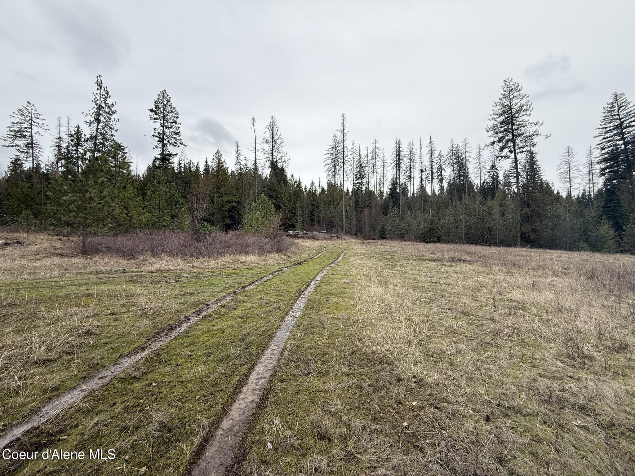Nka Hells Gulch Road St. Maries, ID 83861 - Photo 1 of 17 Land
