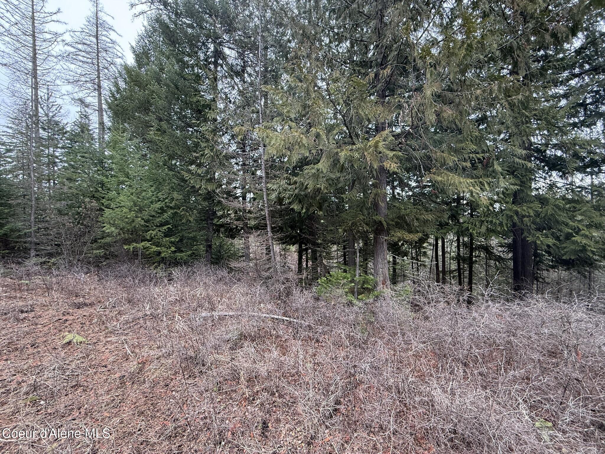 Nka Hells Gulch Road St. Maries, ID 83861 - Photo 11 of 17 IMG_7689