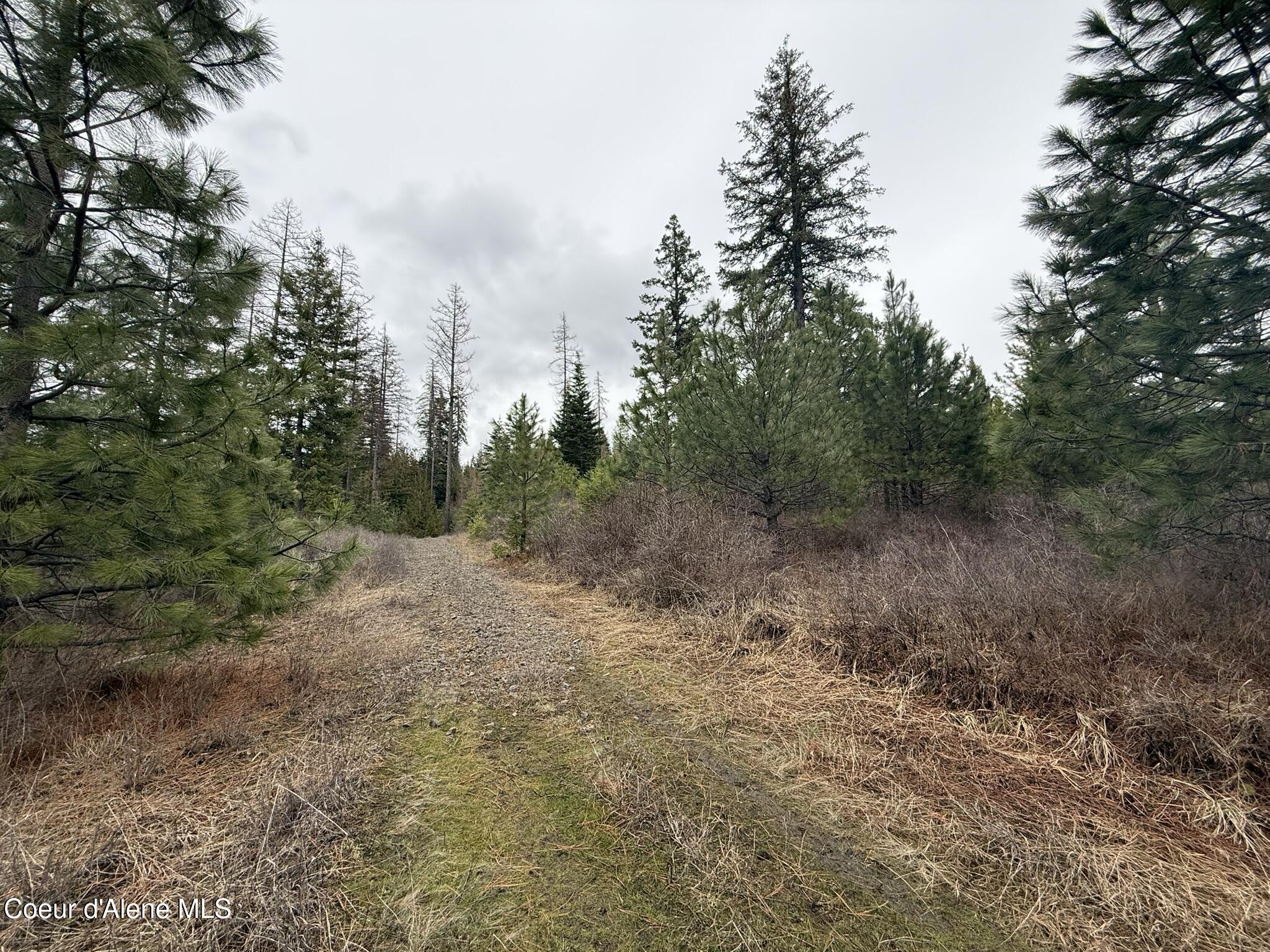Nka Hells Gulch Road St. Maries, ID 83861 - Photo 13 of 17 IMG_7691