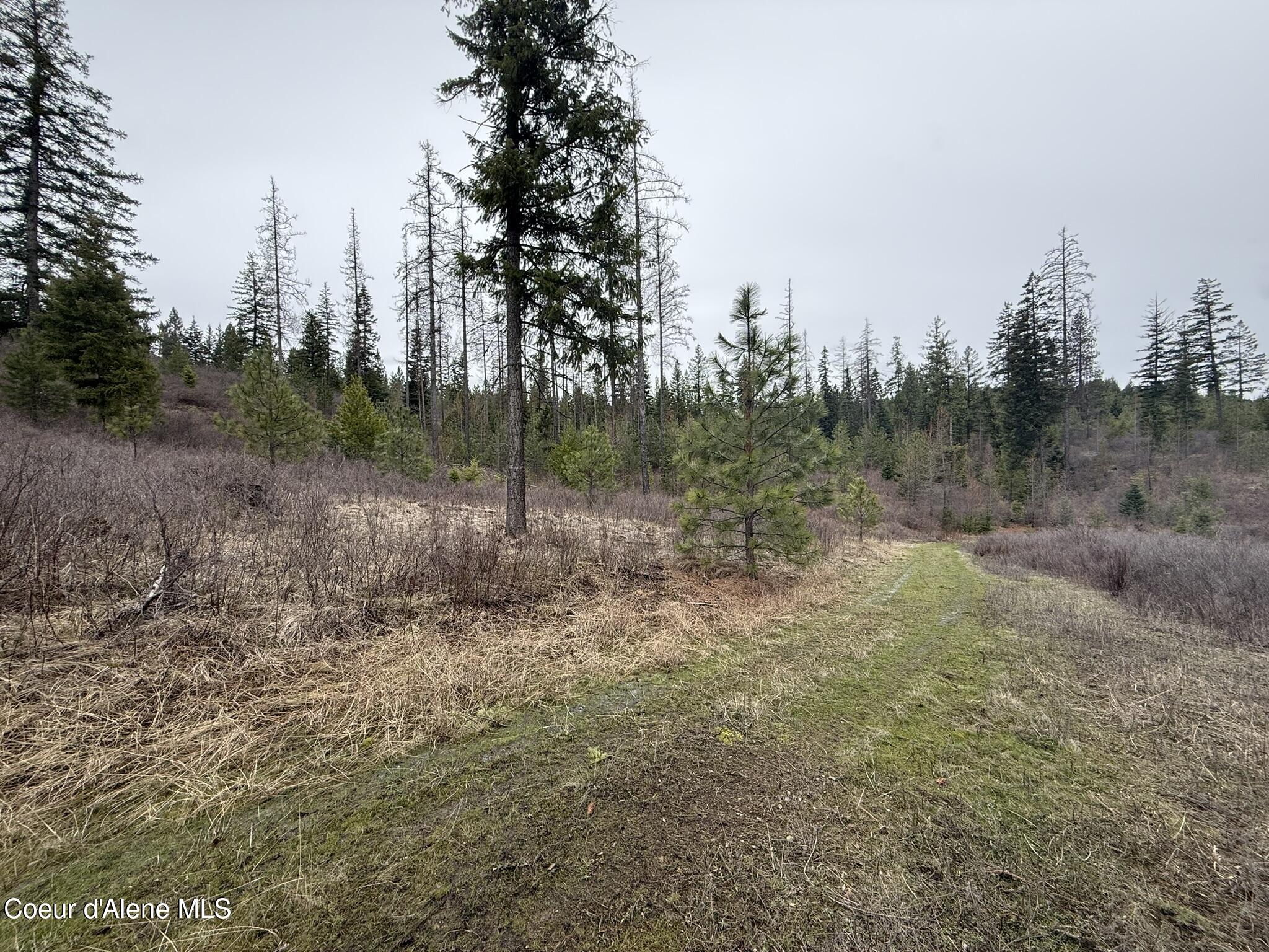 Nka Hells Gulch Road St. Maries, ID 83861 - Photo 14 of 17 IMG_7692
