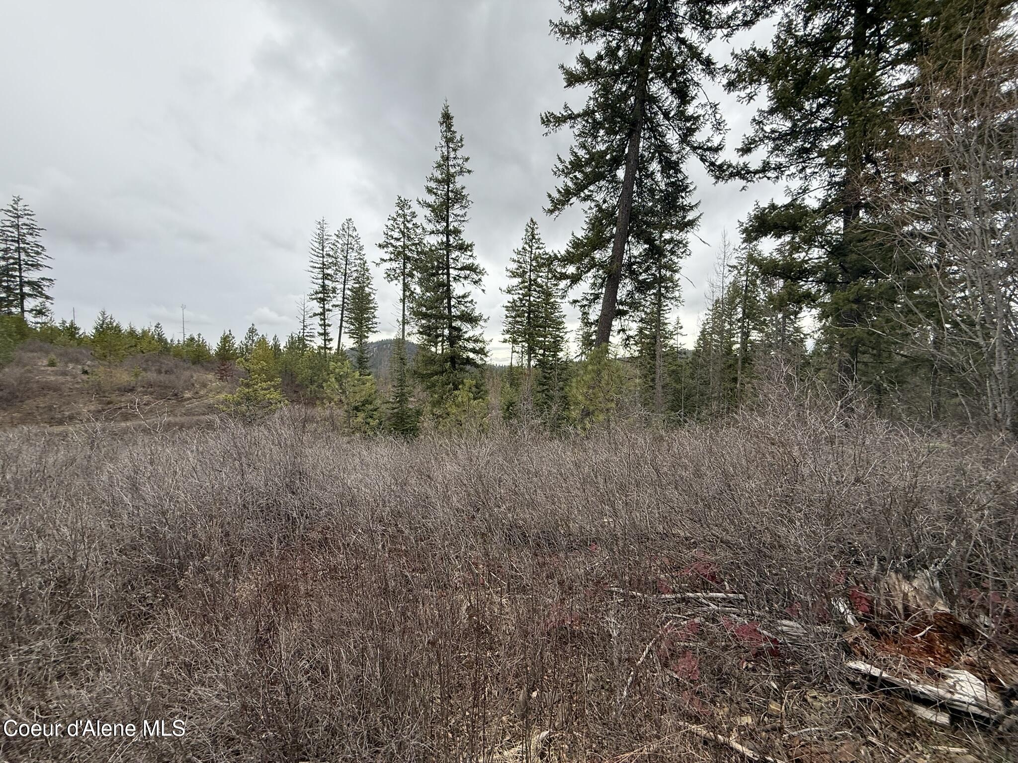 Nka Hells Gulch Road St. Maries, ID 83861 - Photo 15 of 17 IMG_7693
