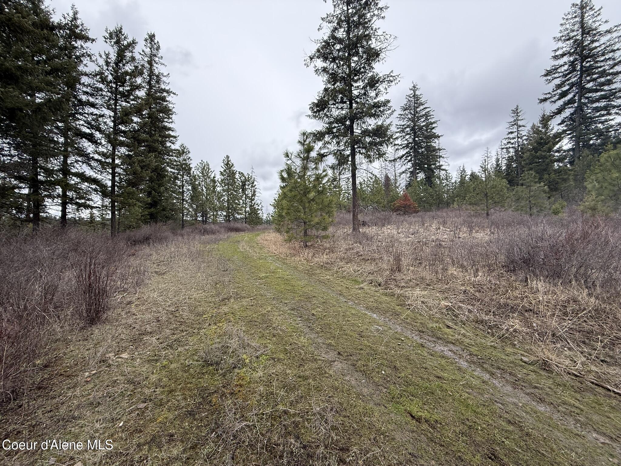 Nka Hells Gulch Road St. Maries, ID 83861 - Photo 16 of 17 IMG_7694