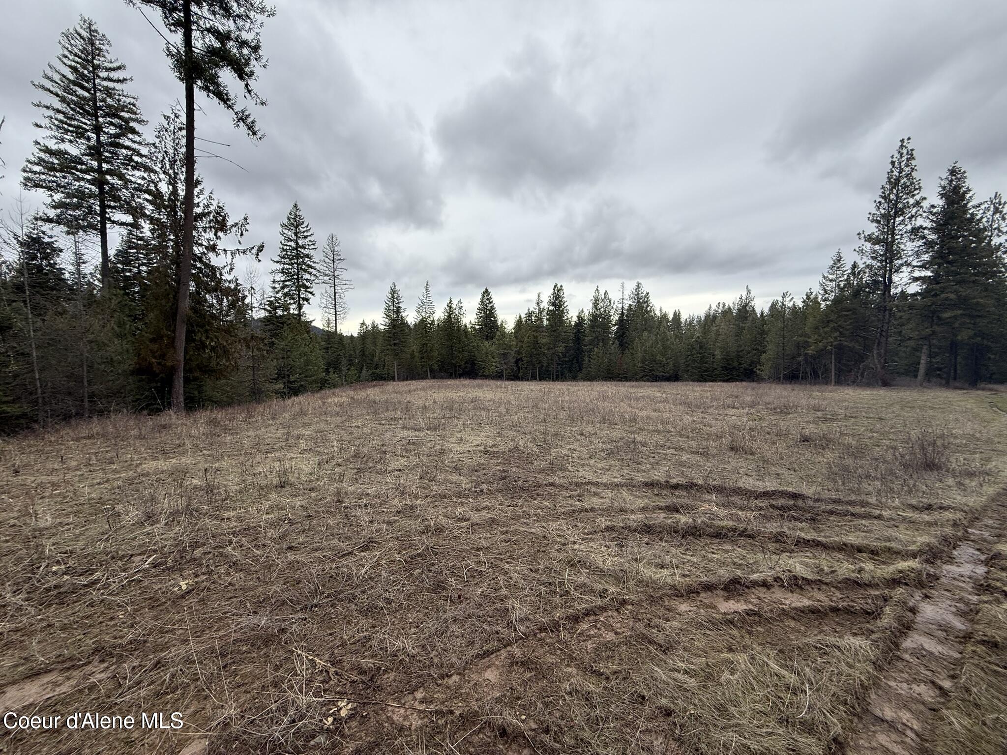 Nka Hells Gulch Road St. Maries, ID 83861 - Photo 6 of 17 IMG_7684