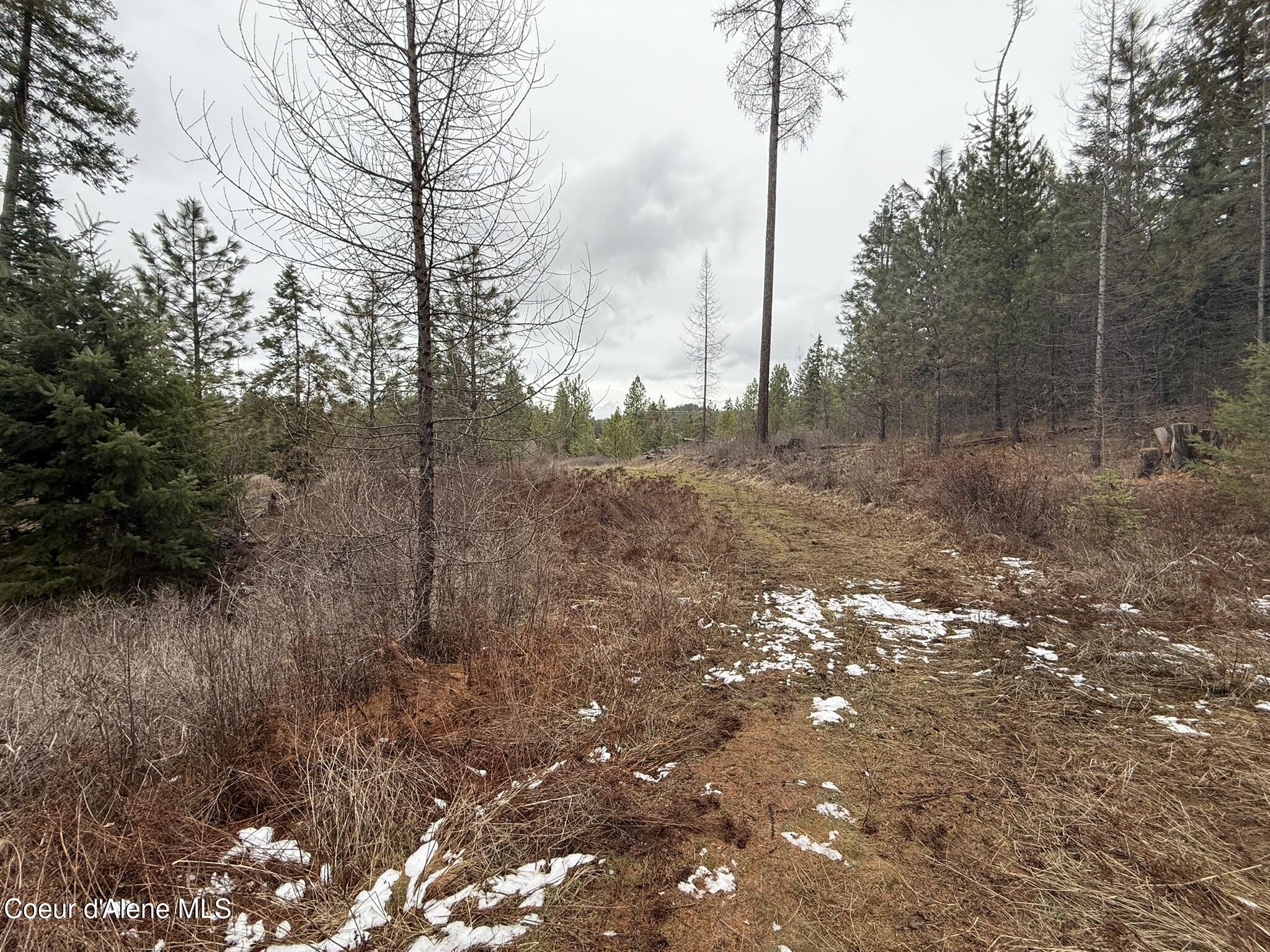 Nka Hells Gulch Road St. Maries, ID 83861 - Photo 8 of 17 IMG_7686