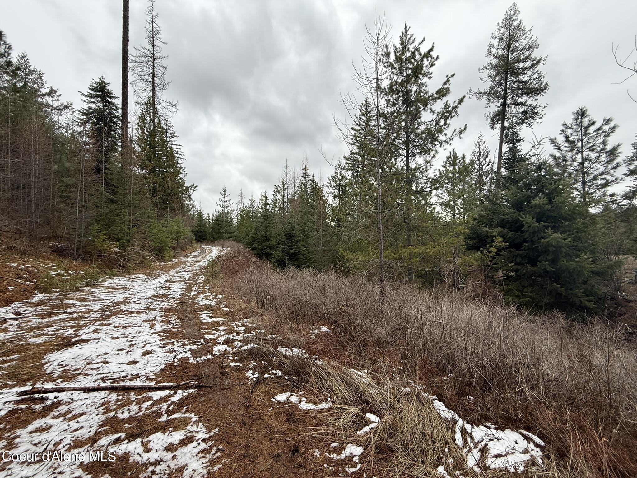 Nka Hells Gulch Road St. Maries, ID 83861 - Photo 9 of 17 IMG_7687