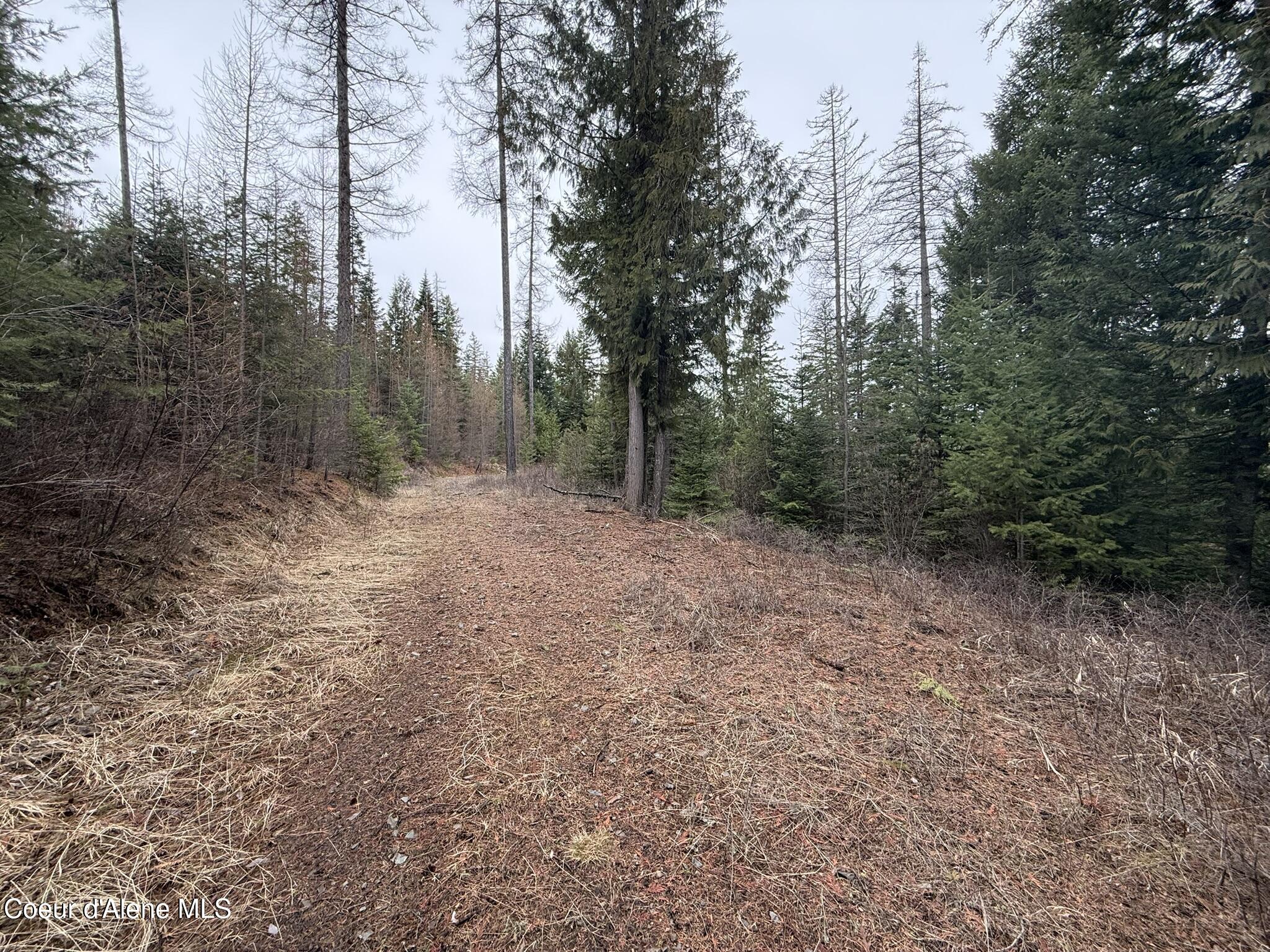 Nka Hells Gulch Road St. Maries, ID 83861 - Photo 10 of 17 IMG_7688