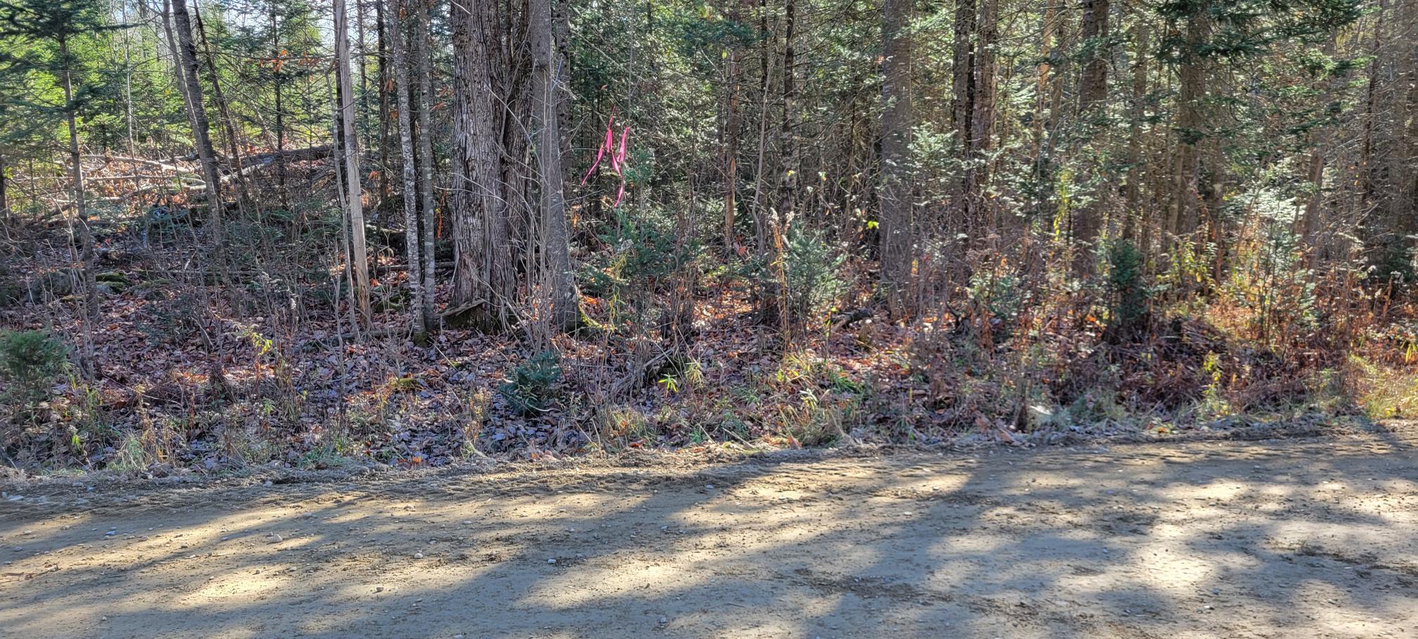 25-22 Back Troy Road Troy, ME 04987 - Photo 36 of 43 Back Troy Road boundary line