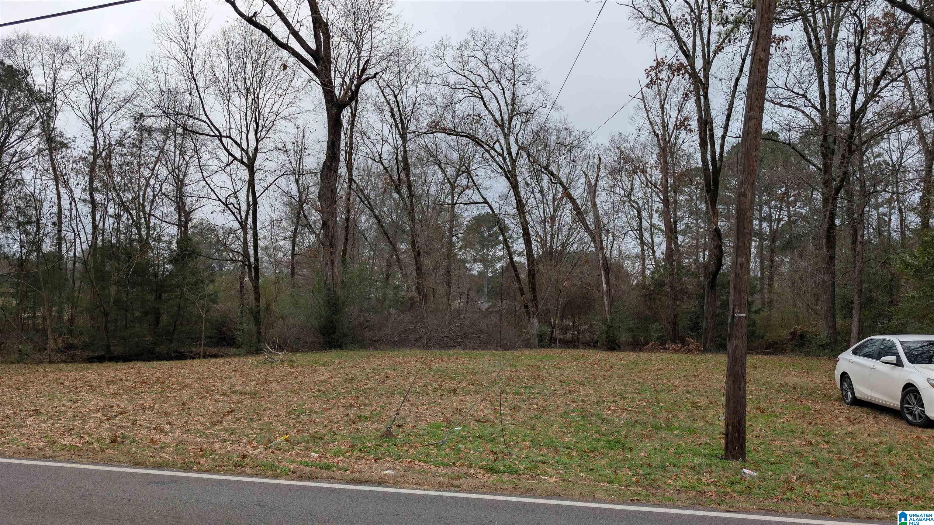 2210 20th Street, Unit 1 Calera, AL 35040 - Photo 1 of 4