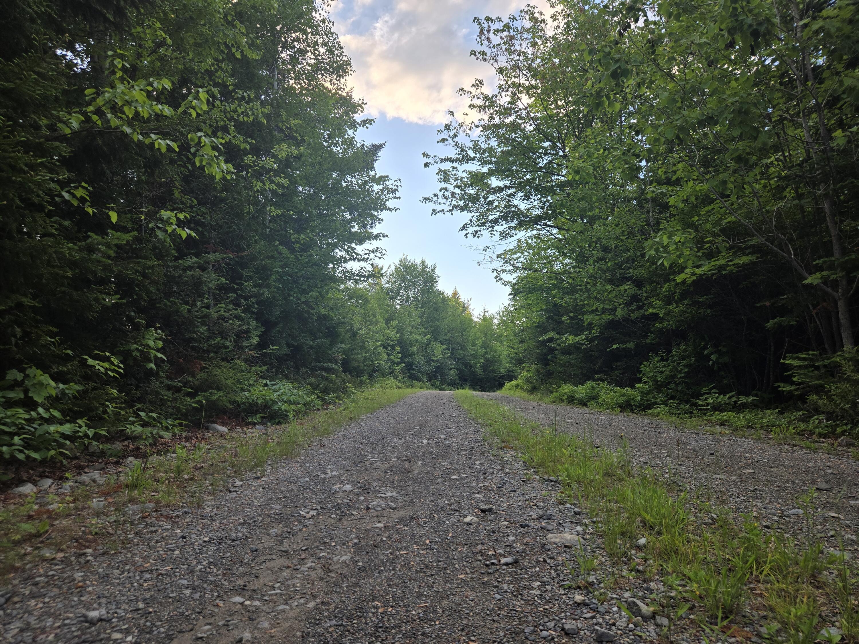 27 B6/17/24 Dixie Road Lubec, ME 04652 - Photo 4 of 15 20260624_194357