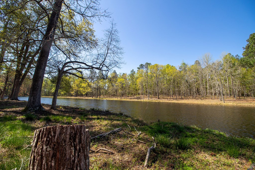 2115 Poplar Road Barnwell, SC 29812 - Photo 17 of 41