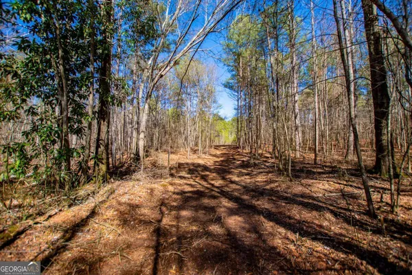 $220,000 | 0 Hwy 166 East, Bowdon, GA 30108