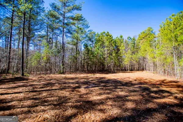 $199,000 | 0 Hwy 166 E - 21 Acres East, Bowdon, GA 30108