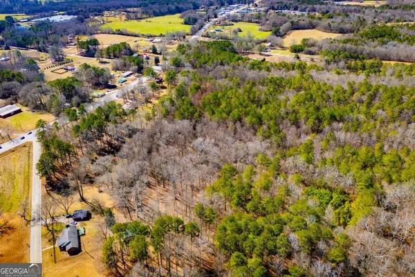 $220,000 | 0 Hwy 166 East, Bowdon, GA 30108