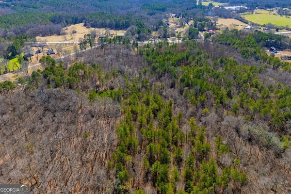 $220,000 | 0 Hwy 166 East, Bowdon, GA 30108