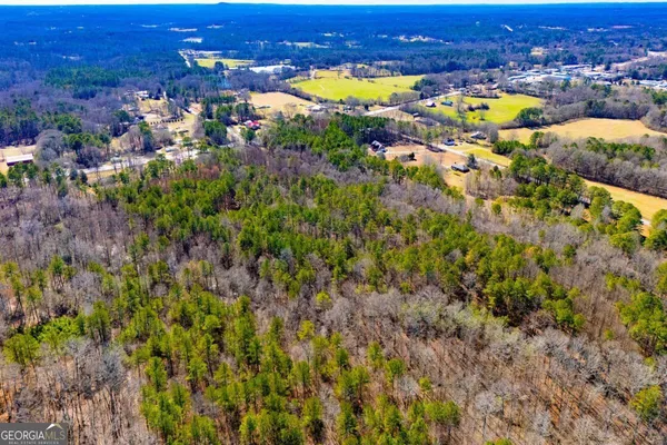 $220,000 | 0 Hwy 166 East, Bowdon, GA 30108