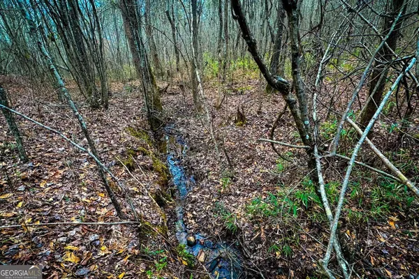 $220,000 | 0 Hwy 166 East, Bowdon, GA 30108