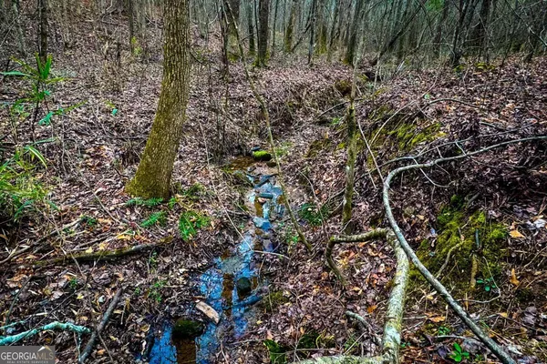 $220,000 | 0 Hwy 166 East, Bowdon, GA 30108