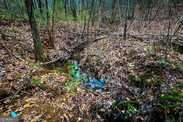 $220,000 | 0 Hwy 166 East, Bowdon, GA 30108