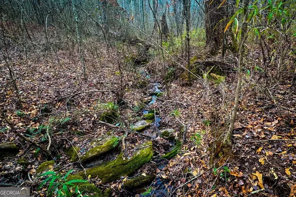 $220,000 | 0 Hwy 166 East, Bowdon, GA 30108