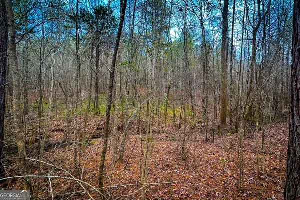 $220,000 | 0 Hwy 166 East, Bowdon, GA 30108