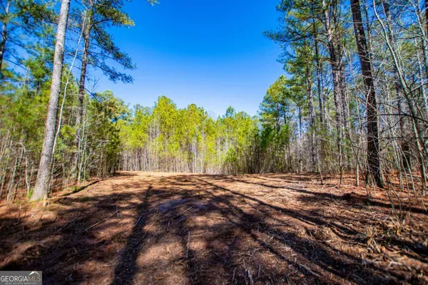 $220,000 | 0 Hwy 166 East, Bowdon, GA 30108