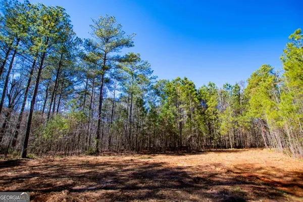 $220,000 | 0 Hwy 166 East, Bowdon, GA 30108