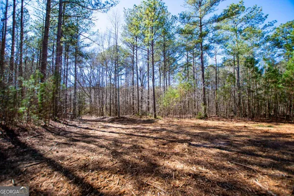 $220,000 | 0 Hwy 166 East, Bowdon, GA 30108
