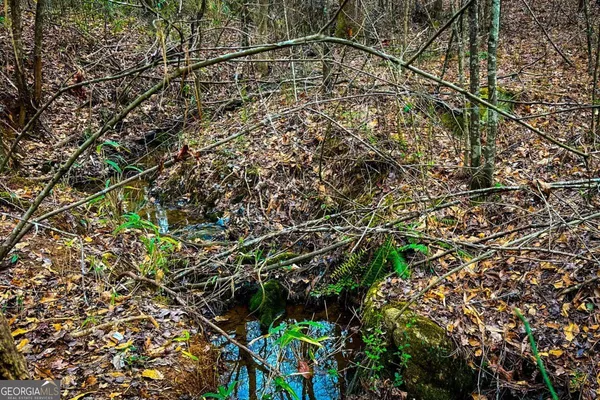 $220,000 | 0 Hwy 166 East, Bowdon, GA 30108