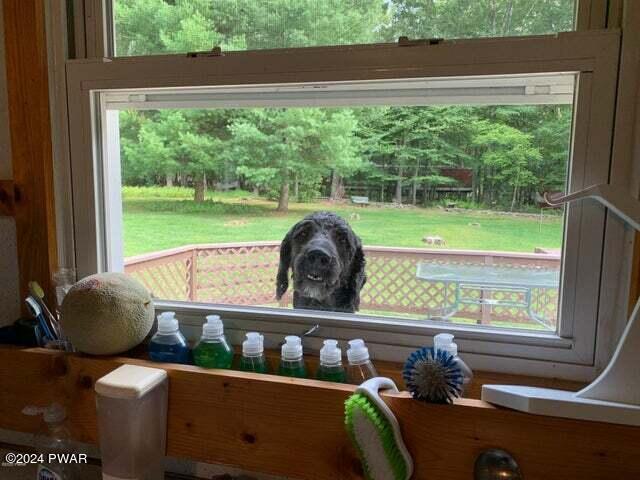 138 Winfield Road Hawley, PA 18428 - Photo 34 of 38 Kitchen window