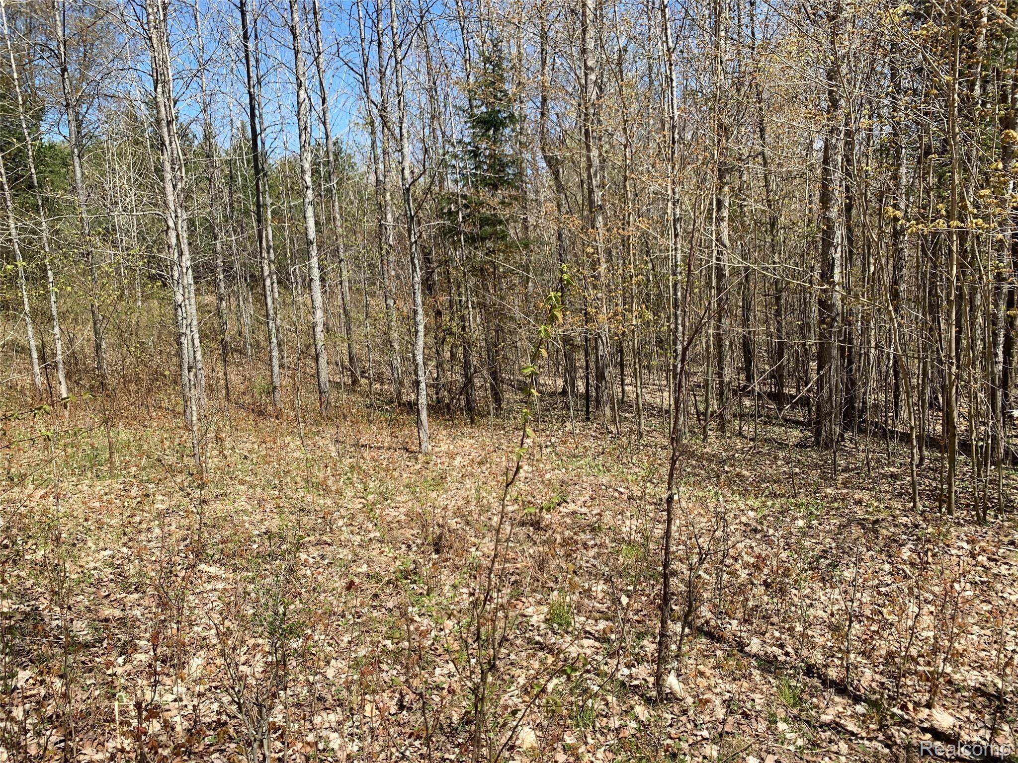 2 West Kneeland Road Mio, MI 48647 - Photo 9 of 13 IMG_2071.JPG