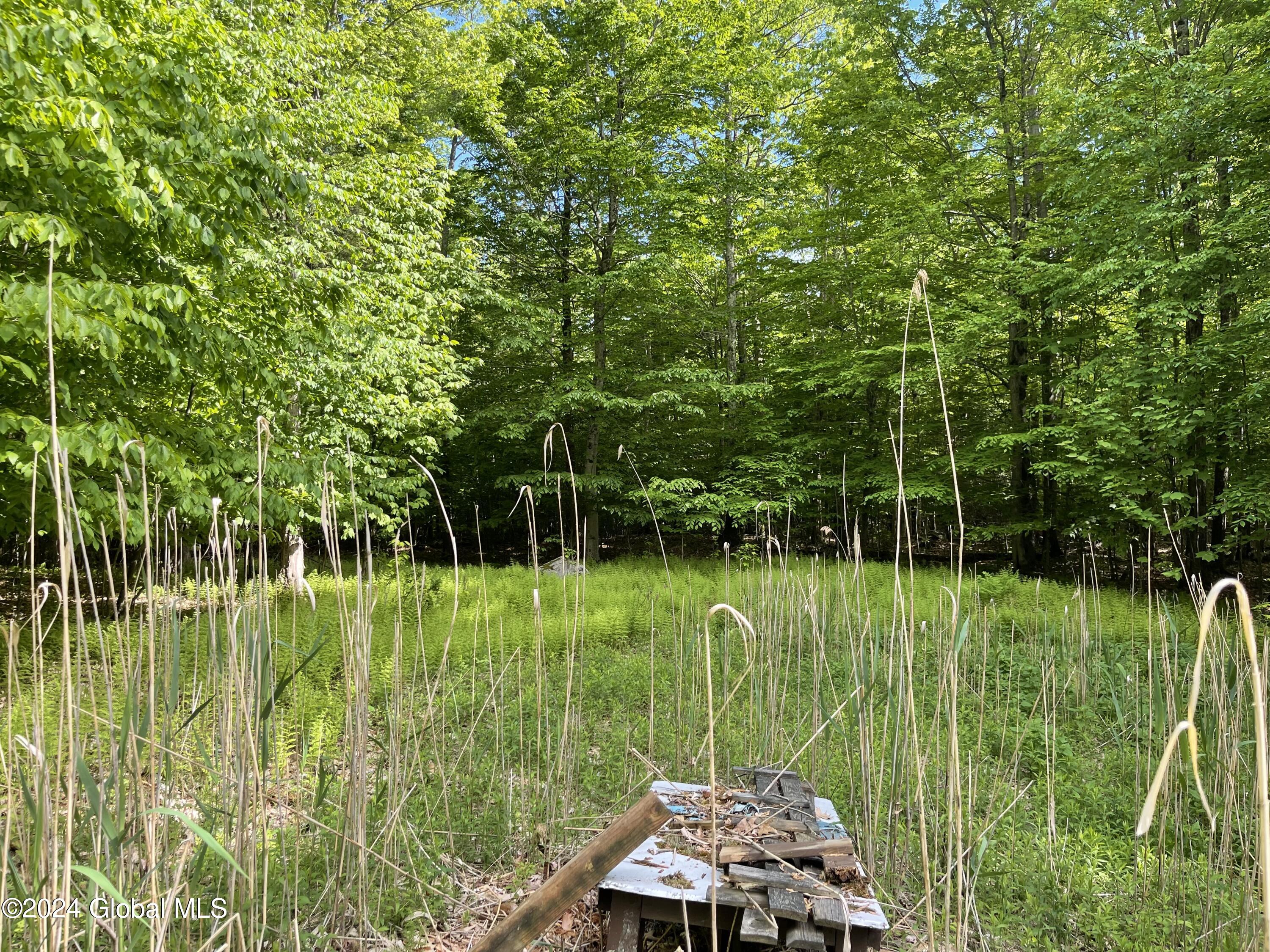 367 Momrow Road Sand Lake, NY 12153 - Photo 1 of 4 IMG_2230