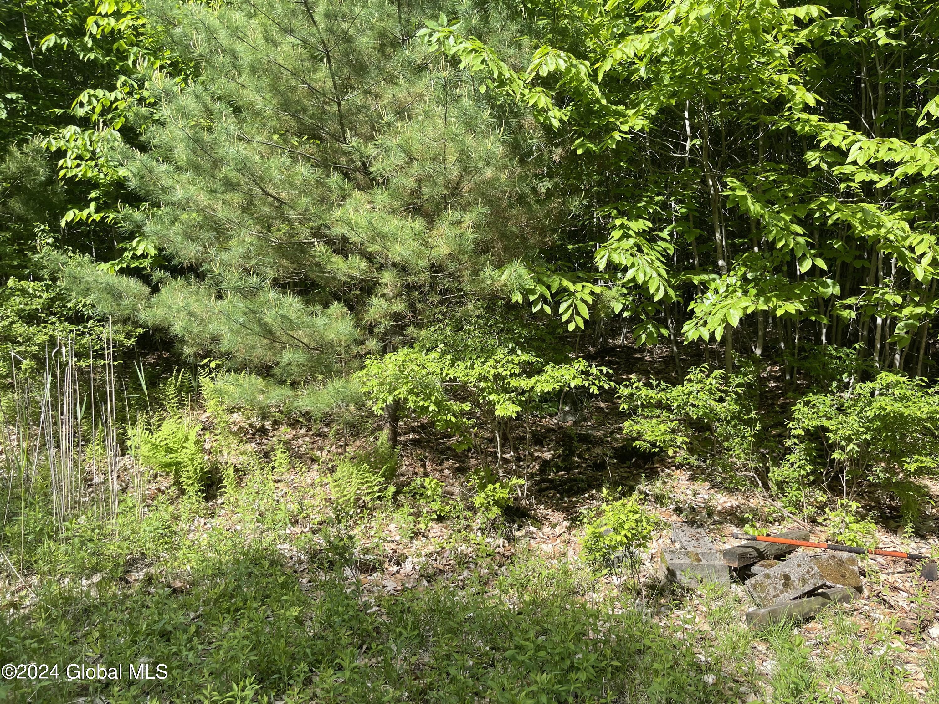 367 Momrow Road Sand Lake, NY 12153 - Photo 2 of 4 IMG_2232