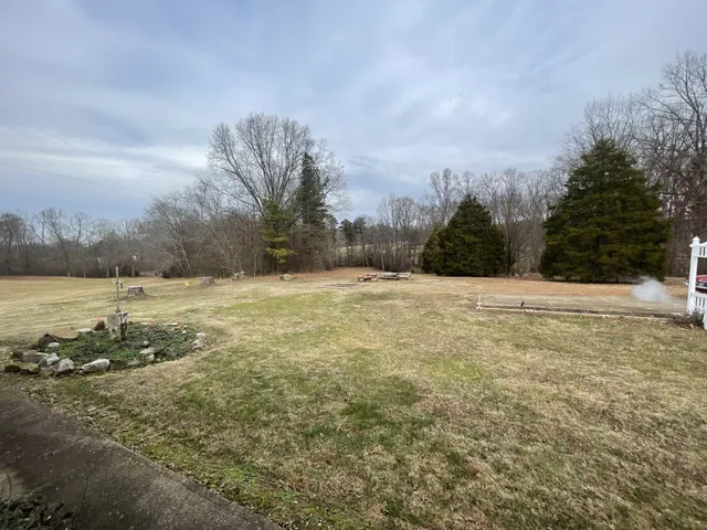 a view of an ocean and beach